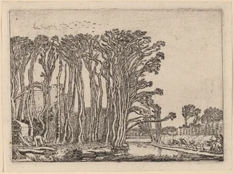 Der Köhler