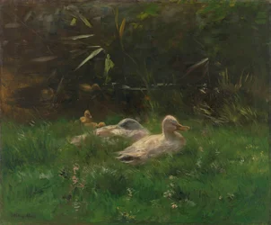 Enten