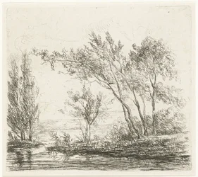 Landschaft mit Bäumen am Wasser