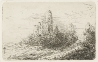 Ruine des Schlosses Stromberg