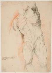 Anatomische Studie (Écorché). Vorderansicht eines stehenden gehäuteten Mannes, sein linker Arm erhoben