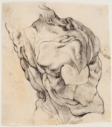 Anatomische Studie (Écorché). Torso eines gehäuteten Mannes von hinten halb nach rechts gedreht