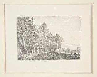 Straße am Waldrand, Platte 4 aus der Serie Die Landschaften
