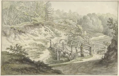 Dünenlandschaft mit Holzbrücke