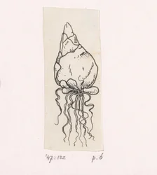 Blumenzwiebel