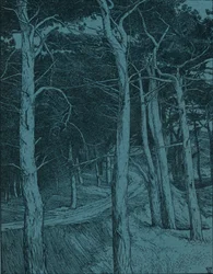 Wald, um 1912