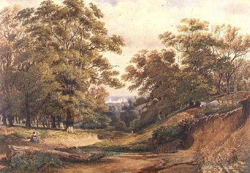 Szene im Bagley Wood bei Oxford