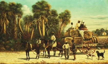 Der Baumwollwagen