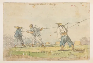 WD 959 Abschnitt 2 f.41r