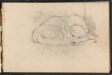 Skizze eines schlafenden Hundes, ca. 1879
