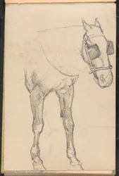 Skizze eines Pferdes mit Scheuklappen, ca. 1879
