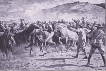 Die Gefangennahme der Pferde im Brandwater-Distrikt bei Fouriesburg: Einfangen der Herde, Illustration aus After Pretoria: The Guerilla War, 1902