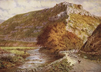 Tonley Pike