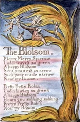 Die Blüte: Platte 10 aus Songs of Innocence and of Experience (Kopie R) um 1802-08