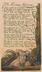 Lieder der Unschuld und Erfahrung, Platte 46, "Der menschliche Abstrakt" (Bentley 47)