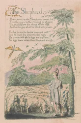 Lieder der Unschuld und Erfahrung, Tafel 4, Der Hirte (Bentley 5)