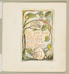 Lieder der Unschuld und Erfahrung: Die kranke Rose, ca. 1825