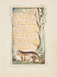 Lieder der Unschuld und Erfahrung: Der Tiger, ca. 1825