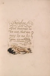 Es gibt keine natürliche Religion, Tafel 9 (Bentley b12)