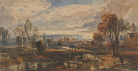 Landschaft mit Schafen