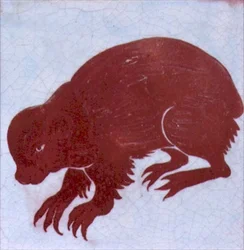 Stachelschwein