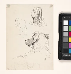 Hund (Recto), Hund und Kuh (Verso)