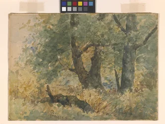 Waldlandschaft