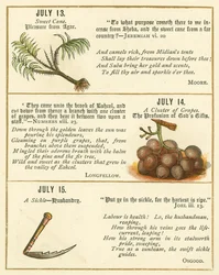 Seite aus dem Bibel-Emblem-Jubiläumsbuch