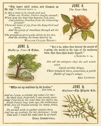 Seite aus dem Bibel-Emblem-Jubiläumsbuch