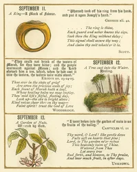 Seite aus dem Bibel-Emblem-Jubiläumsbuch
