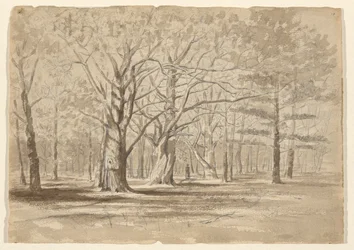 College Woods