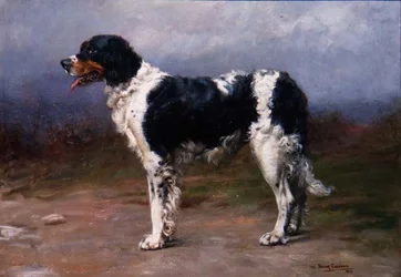 Jagdhund in einer Landschaft