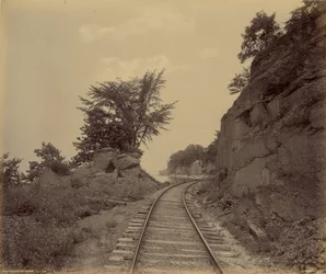 Cayuga-See, Cat