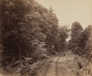 Musconetcong Glen