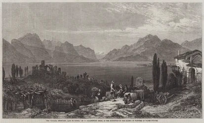 Die Weinlese, Desenzano, Gardasee