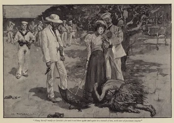 Illustration für 