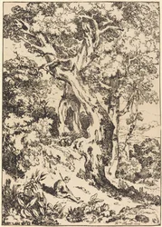Studie von Bäumen und Sträuchern mit sitzender Figur