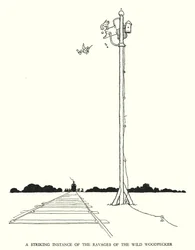 Illustration für Railway Ribaldry von W Heath Robinson
