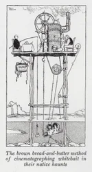 Die braune Brot-und-Butter-Methode, Weißfische in ihrem natürlichen Lebensraum zu filmen (Lithografie)