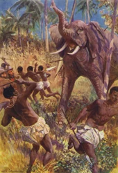 Illustration für The Gorilla Hunters von R M Ballantyne