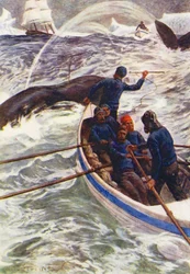 Illustration für Die Welt des Eises oder die Walfangreise der Dolphin