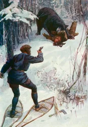 Der Bär stand über ihm und hielt einen seiner Arme im Maul