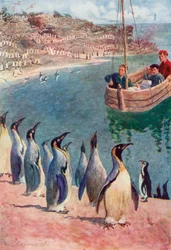 Wir betrachteten die Vögel mit Überraschung und Freude, sie erwiderten unseren Blick mit Interesse