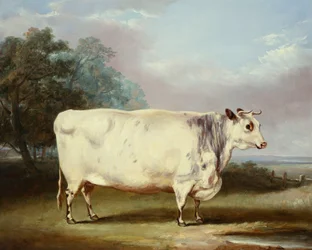 Eine preisgekrönte Kuh, 1838