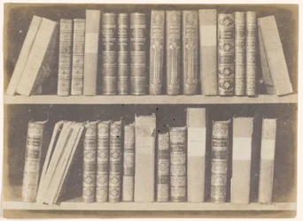 Eine Szene in einer Bibliothek, Platte VIII aus dem Bleistift der Natur