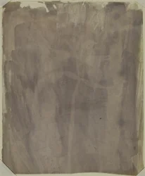 Botanisches Exemplar