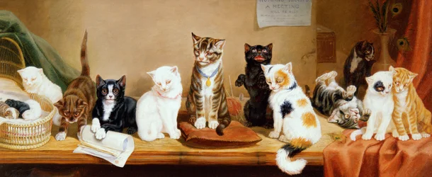 Frauenrechte - Ein Treffen, 1885