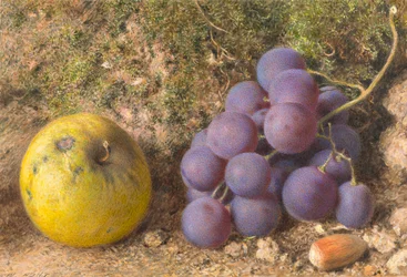Apfel, Trauben und eine Haselnuss