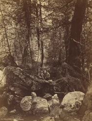 Der Pfad im West Gallatin Canyon, ca. 1870er Jahre