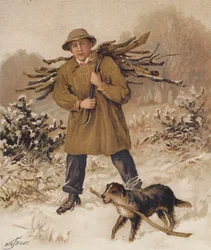 Mann und Hund sammeln Brennholz